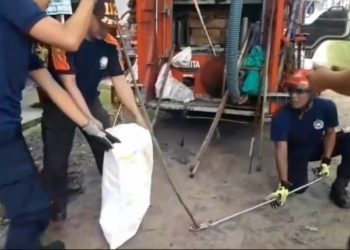 Kobra Hijau Gegerkan Warga, Nyaris Mangsa Kucing