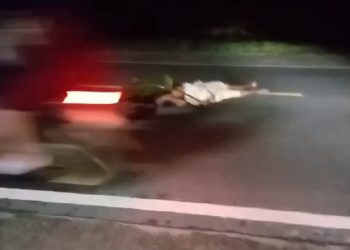 Pria Misterius Ditemukan Tewas, Diduga Tabrak Lari