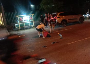 Jukir Biliar Tewas Ditabrak Pikap, Sopir Sempat Kabur