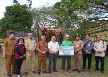 Pemprov Bagikan Belasan Ekor Hewan Kurban di Lamandau