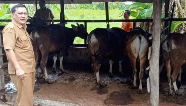 Perketat Pengawasan Penjualan Hewan Kurban