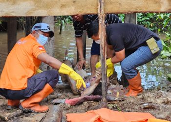 Terdengar Teriakan Minta Tolong, Setelah Dicek Ternyata Ada Mayat