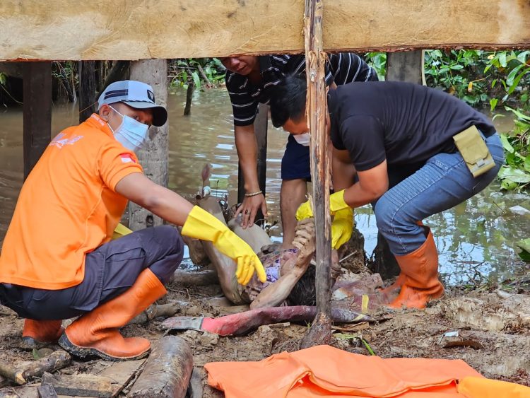 Terdengar Teriakan Minta Tolong, Setelah Dicek Ternyata Ada Mayat