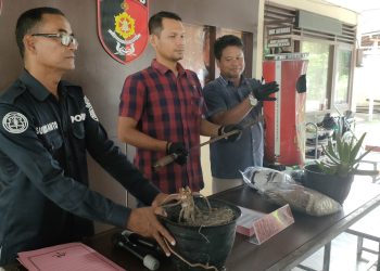 2 Remaja Jadi Tersangka Dalam Kasus Penganiayaan yang Viral di Medsos