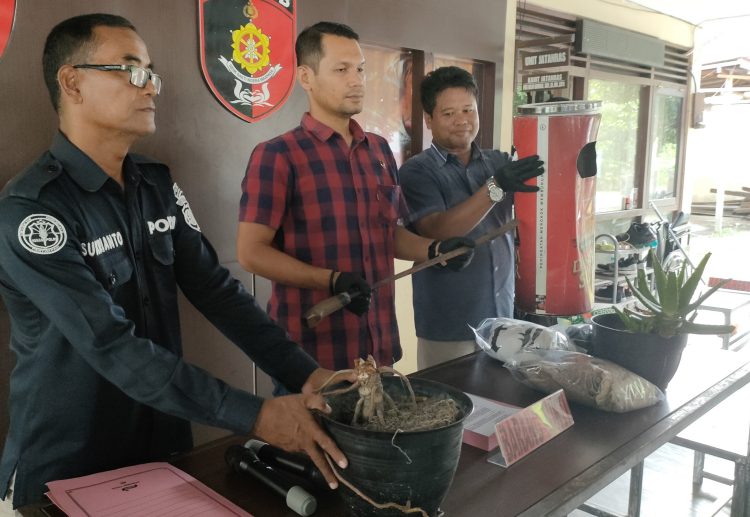 2 Remaja Jadi Tersangka Dalam Kasus Penganiayaan yang Viral di Medsos