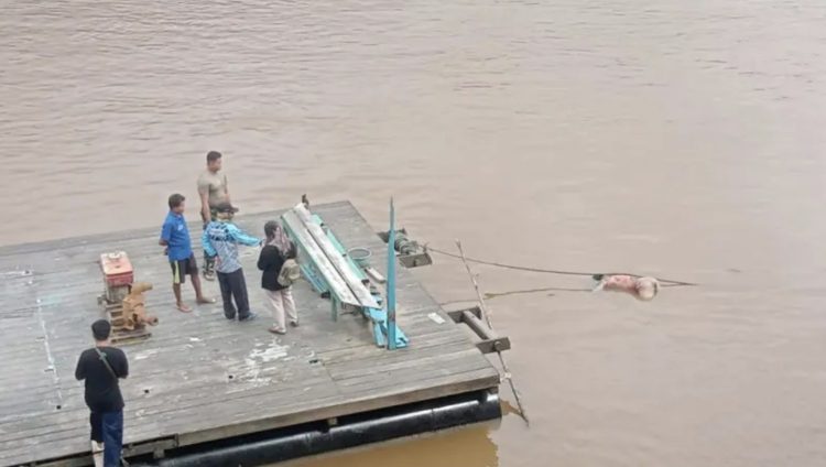 Mayat Mengapung di Sungai Gegerkan Warga Perbatasan