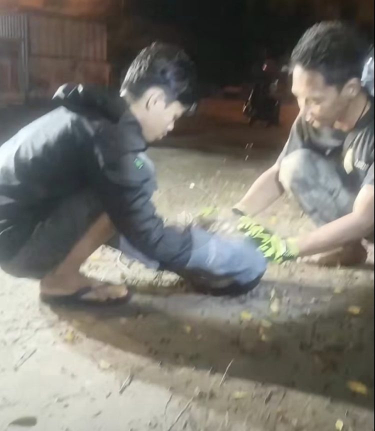 Warga G Obos Dihebohkan Kemunculan Hewan Langka