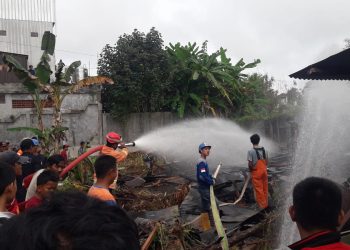 Bakar Kayu untuk Usir Tawon, Apinya Malah Ludeskan Rumah