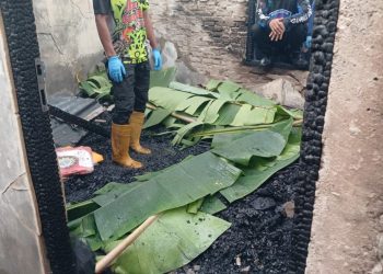 Tragis! Kebakaran di Palangka Raya Tewaskan Dua Penghuni Rumah 