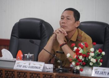 Stok Bahan Pangan di Kalteng Mencukupi Hingga Ramadan