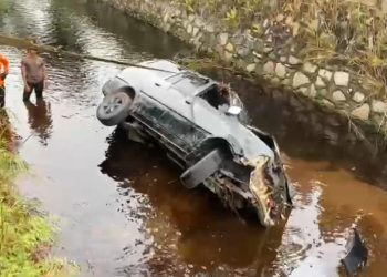 Hindari Kucing, Kijang Kapsul Malah Terjun Bebas ke Pengaringan
