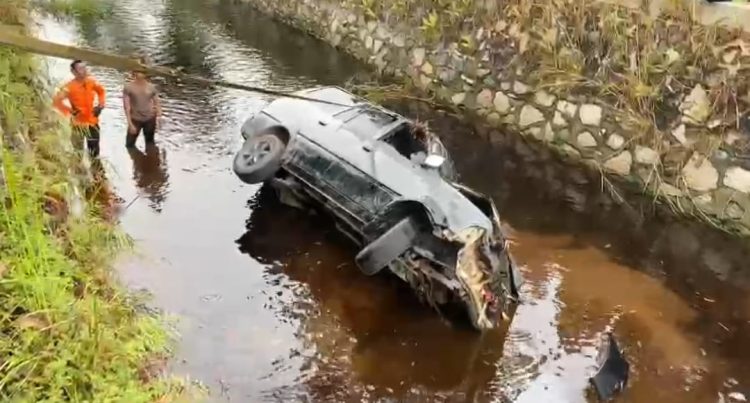 Hindari Kucing, Kijang Kapsul Malah Terjun Bebas ke Pengaringan