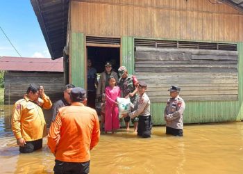 Lima Kabupaten di Kalteng Terdampak Banjir