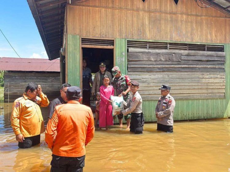 Lima Kabupaten di Kalteng Terdampak Banjir