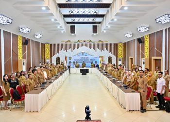 Bapperida Sosialisasikan Penyusunan Formasi Jabatan Fungsional Perencana Tahun 2025