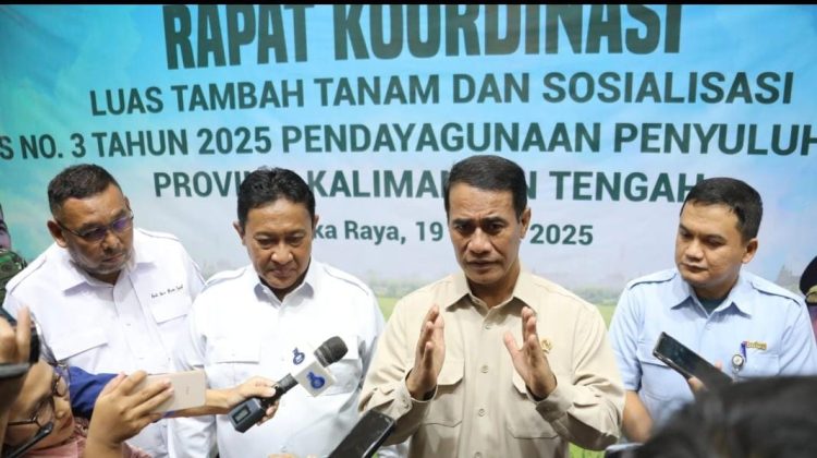 Kalteng Mendapat Alokasi Anggaran Rp3 Triliun untuk Cetak Sawah