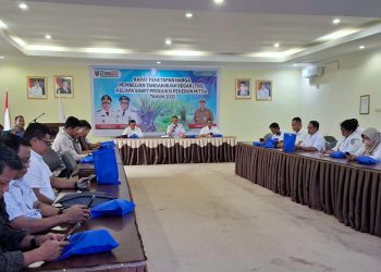 Disbun Kalteng Tetapkan Harga Pembelian TBS Sawit