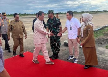 Menteri Pertanian Tinjau Cetak Sawah di Kapuas