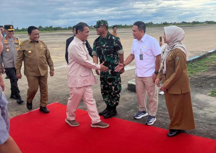 Menteri Pertanian Tinjau Cetak Sawah di Kapuas
