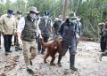 Menteri Kehutanan Antar Anak Orang Utan Berangkat ke Sekolah