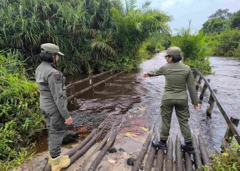 TRC Satpol PP Kalteng Laksanakan Patroli Pemantauan Kondisi Banjir