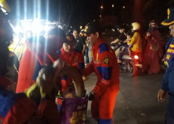 Heboh! Piton Jumbo Gegerkan Lapak Penjual Buah