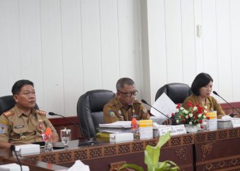 Pelantikan Kepala Daerah Digelar 20 Februari 2025  