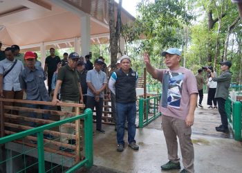 Nyaru Menteng Bisa Menjadi Destinasi Wisata Baru di Indonesia