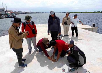 Pemprov Optimalisasi Sarana dan Prasarana Pelabuhan