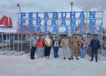 Pelabuhan Harus Ditata Secara Modern dan Fungsional