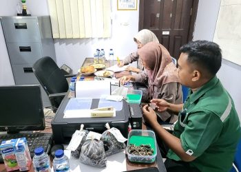 PBT UPT BP3B Jamin Standar Mutu Benih Sawit