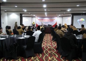 Pemprov Kalteng Lakukan Pemetaan Potensi Kerja Sama Daerah