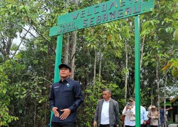Menteri LHK Tinjau Taman Nasional Sebangau
