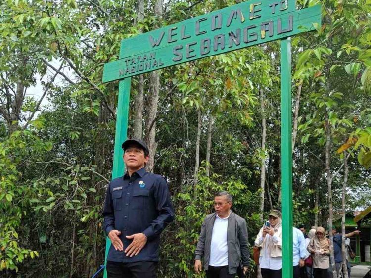 Menteri LHK Tinjau Taman Nasional Sebangau