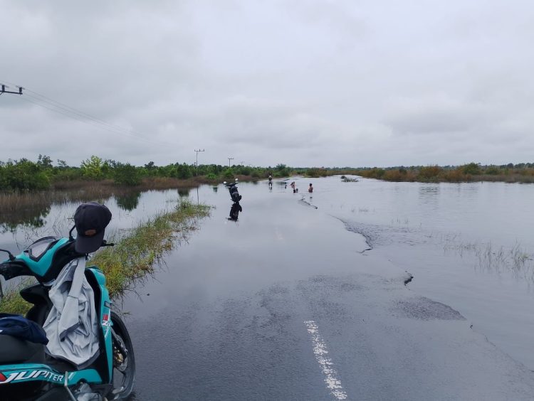 Sungai Meluap Membuat Petuk Katimpun Hampir Tenggelam