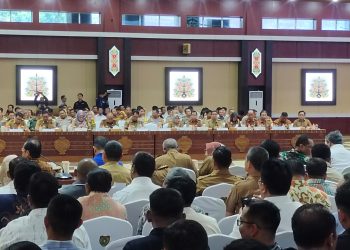 Pemkab Kapuas Siap Dukung Cetak Sawah dan Swasembada Jagung