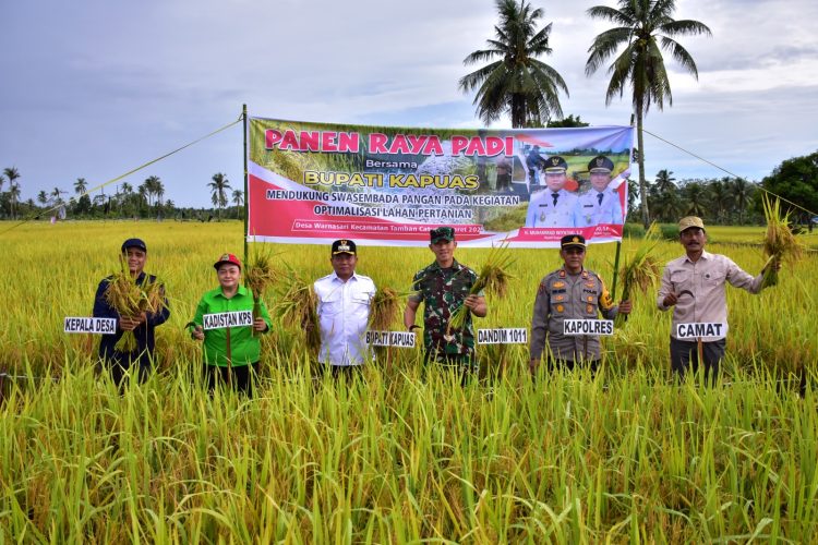 Bupati Lakukan Panen Raya Padi di Tamban Catur
