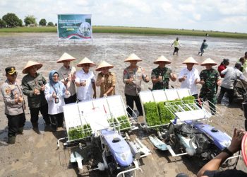 Produksi Gabah Kering di Kalteng Mencapai Ratusan Miliar