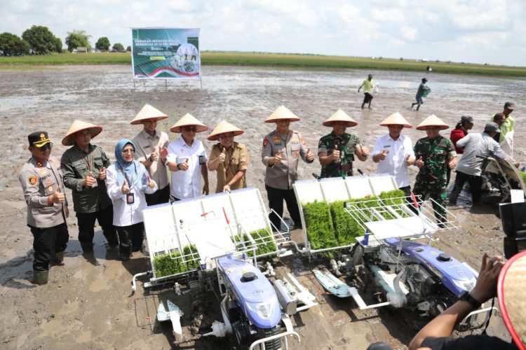 Produksi Gabah Kering di Kalteng Mencapai Ratusan Miliar