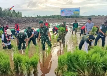 DPRD Dukung Program Cetak Sawah di Desa Kaladan