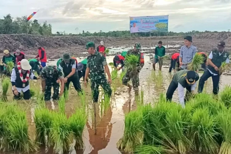 DPRD Dukung Program Cetak Sawah di Desa Kaladan