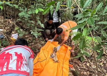 Warga Tangkiling Digegerkan Temuan Tengkorak Manusia di Hutan