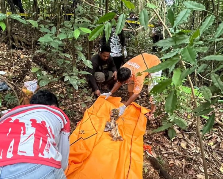 Warga Tangkiling Digegerkan Temuan Tengkorak Manusia di Hutan