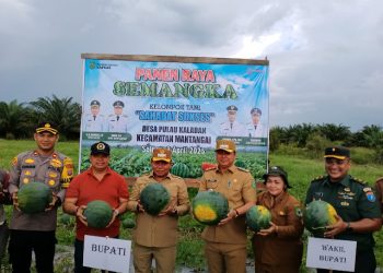 Dewan Apresiasi Panen Raya Semangka Tanpa Biji di Mantangai