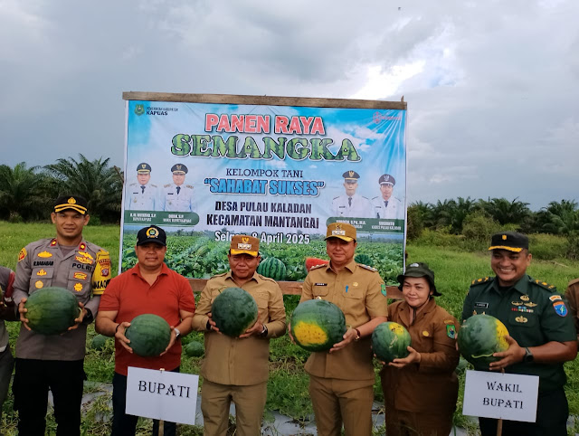 Dewan Apresiasi Panen Raya Semangka Tanpa Biji di Mantangai