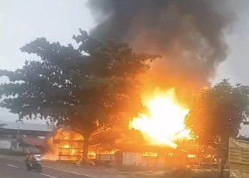 Warung Makan di Pahandut Seberang Ludes Disantap Si Jago Merah