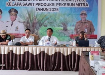 Harga TBS Sawit Agustus 2025, Kalteng Masih Tertinggi di Kalimantan