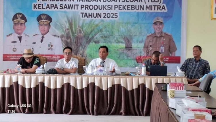 Harga TBS Sawit Agustus 2025, Kalteng Masih Tertinggi di Kalimantan