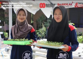 Hidroponik Hemat Lahan, Siswa Magang Belajar Produksi Sayuran Sehat