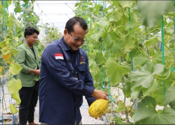 Dinas TPHP Prov Kalteng Jalin Kerjasama Smart Farming dengan UPN Yogyakarta
